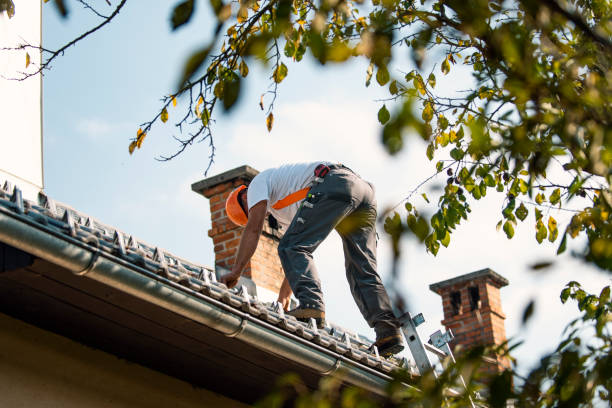 Quick and Trustworthy Emergency Roof Repair Services in Alvarado, TX