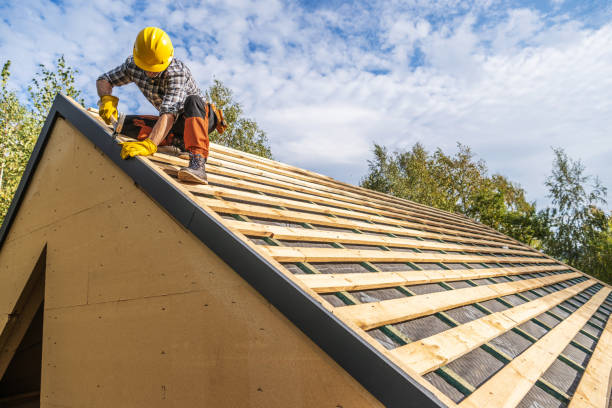Roof Gutter Cleaning in Alvarado, TX